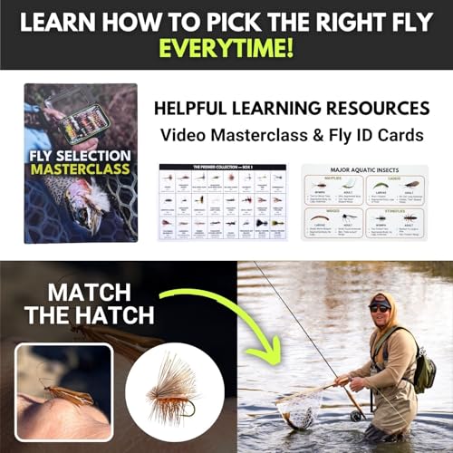 Image of Ventures Fly Co. | 122 Premium Hand Tied Fly Fishing Flies Assortment | Two Fly Boxes Included | Dry, Wet, Nymphs, Streamers, Wooly Buggers, Terrestrials | Trout, Bass Lure Set, Kit, Gift