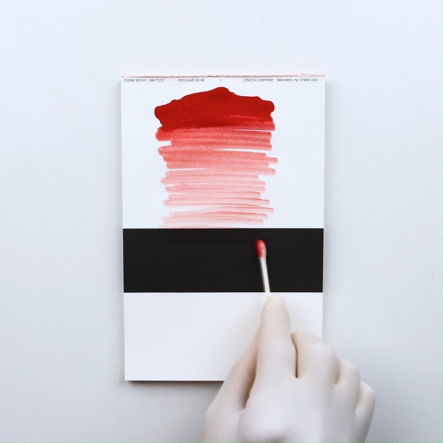 Amazon.com: Perma Blend Luxe - Blossom - Vegan Lip Tattoo Ink