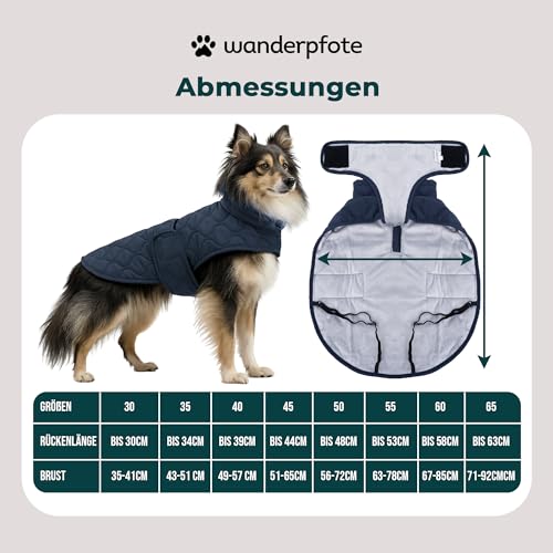 Wanderpfote Hundemantel – Steppjacke Hundejacke Stilvoll und Elegant – Hundemantel Wasserdicht – optimal für kleine und mittelgroße Hunde (Blau, M)