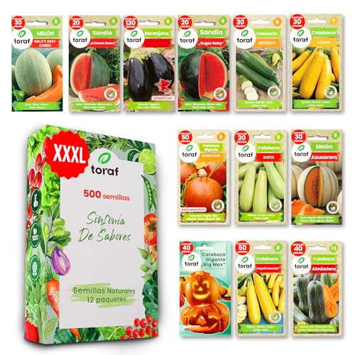 LW TORAF Set de Semillas Huerto XXL 12 variedades premium de hortalizas, 500 semillas, plantas de jardín,balcón,cocina, sandía,calabaza,berenjena,calabacín,melón,cucurbitáceas,plantas aromaticas