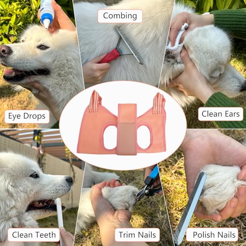 DaizySight Hundepflege Hängematte Set für Kleinen Hunde und Katze Haustier Krallen Friseur - Größe XS, Hängegeschirr für Nageltrimmen, Krallenschneider, Haustierpflege