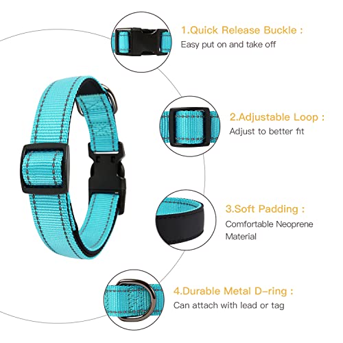 Image of HEELE Dog Collar, Reflective Dog Collar, Soft Neoprene Padded Breathable Nylon Pet Collar Adjustable for Large Dogs, Sky Blue, L(15.74-25.98 inch)