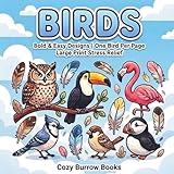 Birds: Bold and Easy Coloring Book for Adults & Kids | One Bird Per Page | Large Print Stress Relief
