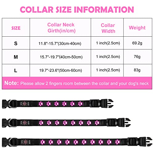 AUAUY Hundehalsband Leuchtend, LED Leuchthalsband Hunde Halsband USB Wiederaufladbar Wasserdichtes für Kleine Mittlere Große Haustier Einstellbar Sicherheit Kragen mit 6 Farben (Colorful-S)