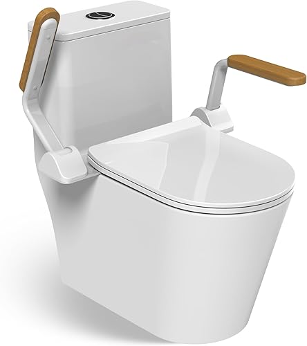 HEINSY Barandilla de seguridad para inodoro, pasamanos de inodoro plegable resistente, soporte de aleación de aluminio de hasta 480 libras, perfecto