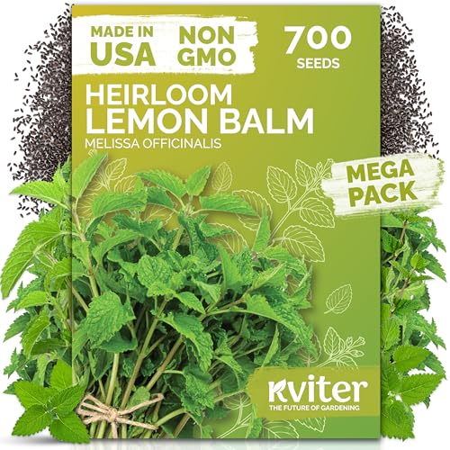 KVITER 700 Lemon Balm Heirloom Organic Seeds