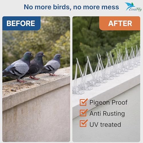 Image of Evafly Balcony Spike for Birds|Pack of 10 Strong Polycarbonate Uv Treated Unbreakable Spikes| Uses at AC Cabinate Windows Railing- White (12x8 inch)
