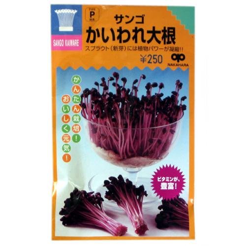 スプラウト 種 サンゴかいわれ大根 小袋（約35ml）のサムネイル