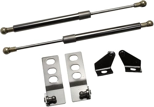 Miniatura 1 de KUNSYOUKIM Soportes de elevación para Toyota RAV4 RAV 4 2019-2021 Capó delantero Modificar fibra de carbono cargado amortiguadores de amortiguadores