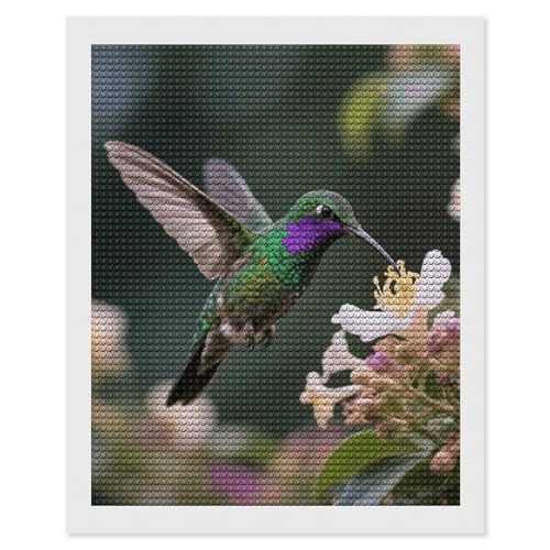 Peinture diamant colibri maccbn 5D art créatif et broderie strass ronds