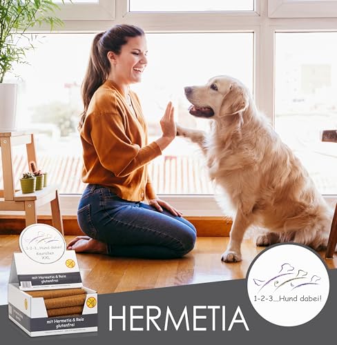 123... Hund dabei! - Kaurollen XXL 50er Tray (Hermetia/Insekten) - Dentalkaurolle - Glutenfrei - Vorteilspaket - Kaustangen für Hunde - Kausticks - Zahnpflege - Kaurollen für Hunde