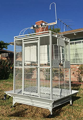 X-Large Double Ladders Open/Close Play Perch Stand Top Wrought Iron Bird Parrot Parakeet Finch Macaw Cockatoo Home Cage Include Seed Guard and Toy Hook