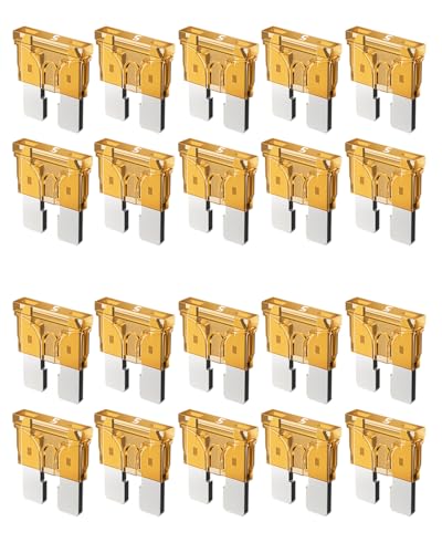 Riseuvo 20pcs 5A Standard Car Fuses - 5 AMP Automotive Fuses(ATO/APR/ATS), 32V (12/24V) Blade Fuse for RV/Truck/SUV