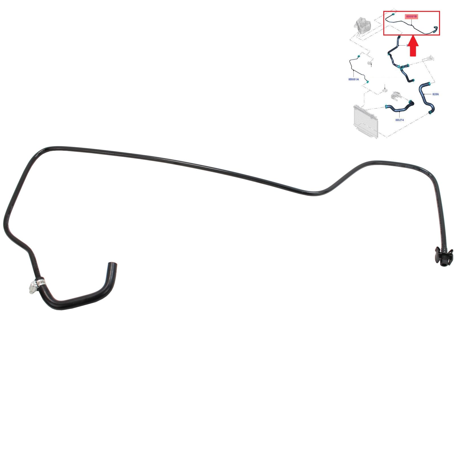 Dr.Motor Automotive Dichtungssatz Ventilschaft Für Ford Fiesta VI B-Max