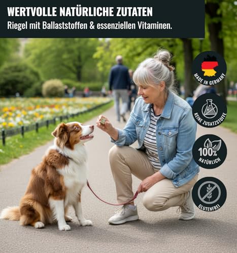 Viva Vegan Hundesnacks Riegelbox 10× – Vegane & glutenfreie Hundeleckerli mit Keimlingen, Banane, Ananas, Spirulina & Kokosöl – 300g Pflanzliche Superfood-Riegel für Hunde – von RiNa