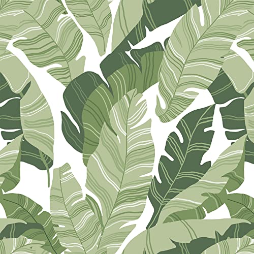 VANISA Klebefolie Blätter Tapete Selbstklebend Möbelfolie Grün und Weiß...