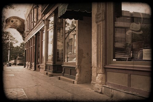 Mad City Chickens: The Return Of The Urban Backyard Chicken! (Feature-Length Documentary) #TOP4