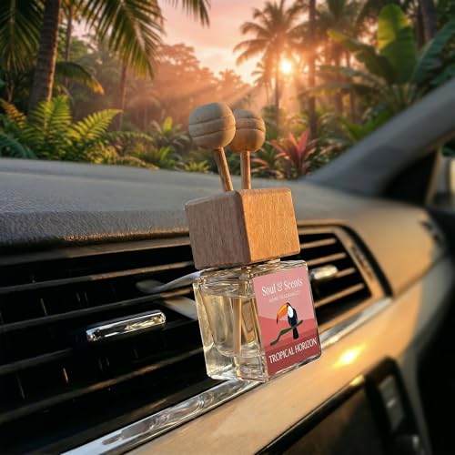 Image of Soul & Scents 16ml Luxury Car Perfumes Raspberry | Tropical Horizon | 2-in-1 Hanging Pod & AC Vent Air Freshener | Premium Wooden Car Fragrance Accessory | Long Lasting Odour Eliminator | Pack of 2