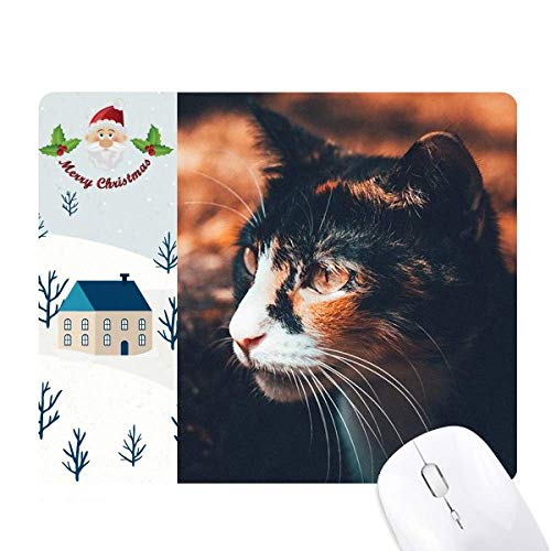 F̔Lړ̃re[W̃vtB[ T^N[XƉS̃}EXpbh