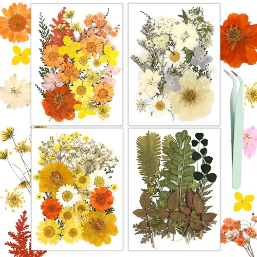 Image of Dried Flowers, Resiners 100Pcs Pressed Flowers for Craft Yellow Real Natural Dried Flowers Dry Leaves Kit for DIY Making Crafts Resin Soap Candle Scrapbook Supplies Card Making Jewelry