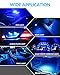 Yorkim 194 LED Bulbs Blue Super Bright New 5th Generation, T10 LED Bulbs, 168 Bulb for Car Interior Door Courtesy Dome Map License Plate Lights W5W 2825, Pack of 10