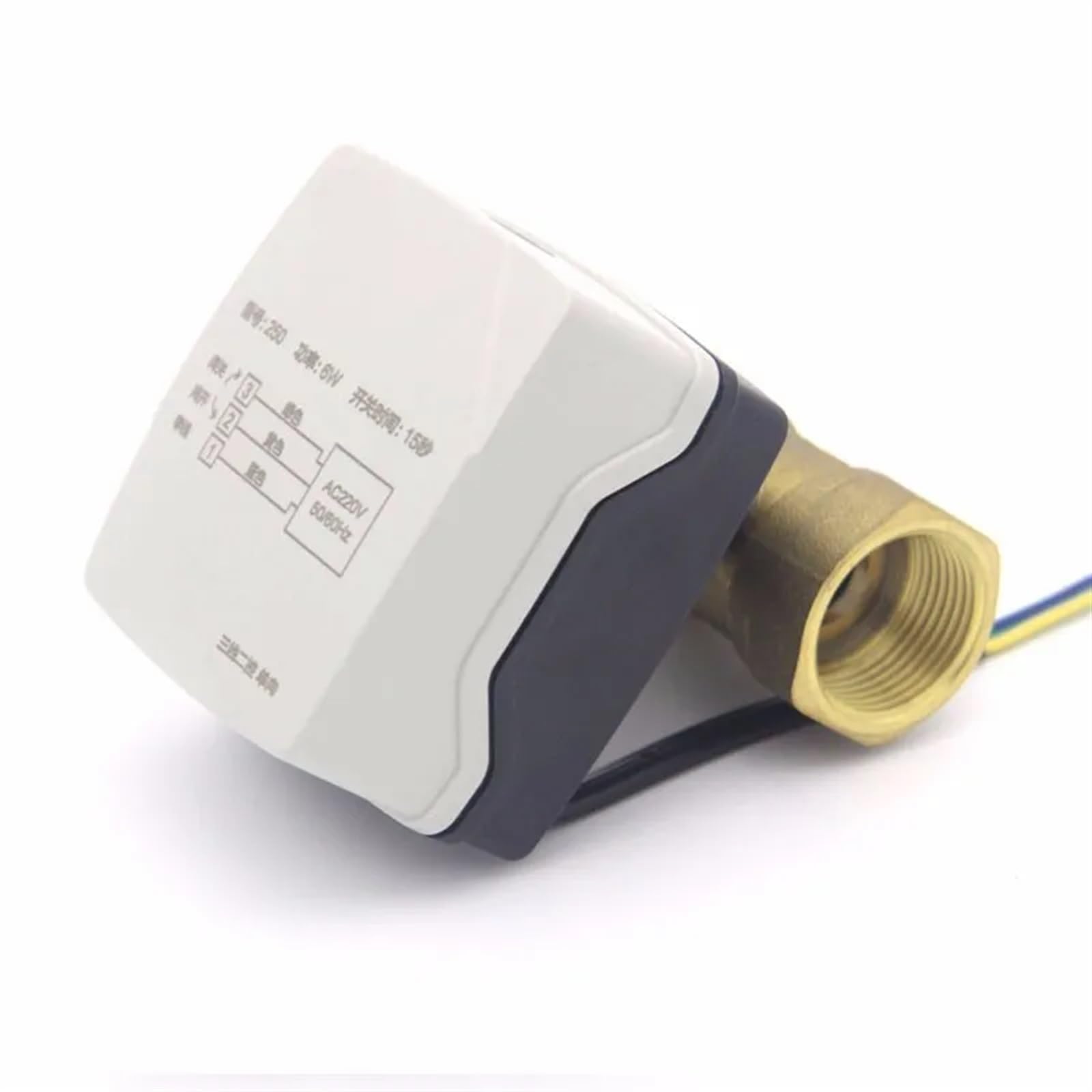 Globe motorisé à Moteur de Petite Taille, Boule motorisée à Eau électrique, vanne à 2 Voies, Support d'action d'électricité Chaude, en Laiton personnalisé