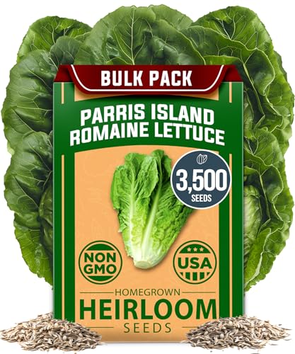 Image of HOME GROWN Parris Island Romaine Lettuce Seeds 3,500+ Heirloom Non GMO, High Germination, Crisp Heads, Indoor Outdoor Hydroponic Garden, Crunchy Cos Lettuce, Slow to Bolt,Vitamin Rich (Lactuca sativa)