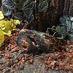 Aquarium Wood Fish Tank Decorations，Resin Fake Logs Terrarium DÉCor, Reptile Hide Aquarium Hideout for Fish Cave, Small Turtles, to 20 Gallon Tank - Image 5