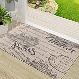 ERICAT Felpudo de Entrada,Texto Desvanecido Catedral Milán El Louvre París,Alfombra Absorbente para Atrapar,Alfombrilla Antideslizante,Pasillo,Dormitorio,50x80cm