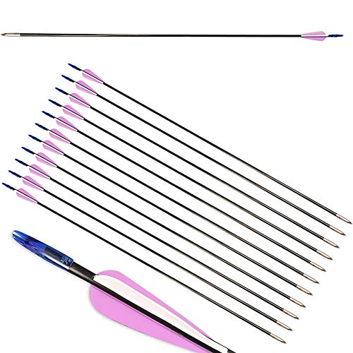  ZSHJG 12pcs Flèches en Fibre de Verre 31 Pouce...