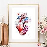 Kunstdruck Din A4 ungerahmt - Herz Anatomie Zeichnung Modern Medizin Kardiologie Druck Bild