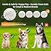 Automatic Dog Ball Launcher, Upgrade 2 in 1 Interactive 3 Adjustable Distances Dog Ball Thrower for Medium to Small Dogs, Rechargeable Brain Training Paw-Activated Balls Launcher with 2.3