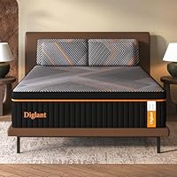 DIGLANT Queen Mattress, 14 Inch Plush Hybrid Mattress Memory Foam with Individually Pocket Springs Queen Size Mattress in Box, Plush Mattress for Pressure Relief,CertiPUR-US Certified,Edge Support