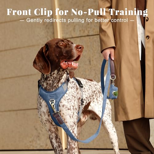 Image of Didog No Pull Dog Harness for Medium Dogs, Classic PU Leather, Blue, L