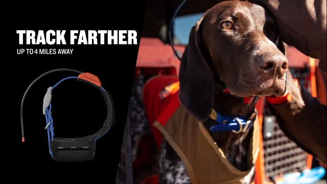 Amazon.com: Wearable4U Garmin T 5X Dog Device, Tracking and