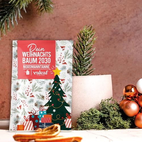 valeaf Weihnachtsbaum 2030 - Nordmanntanne Pflanzen Samen zum Weihnachtsbaum pflanzen ideal als Geschenk und Wichtelgeschenk