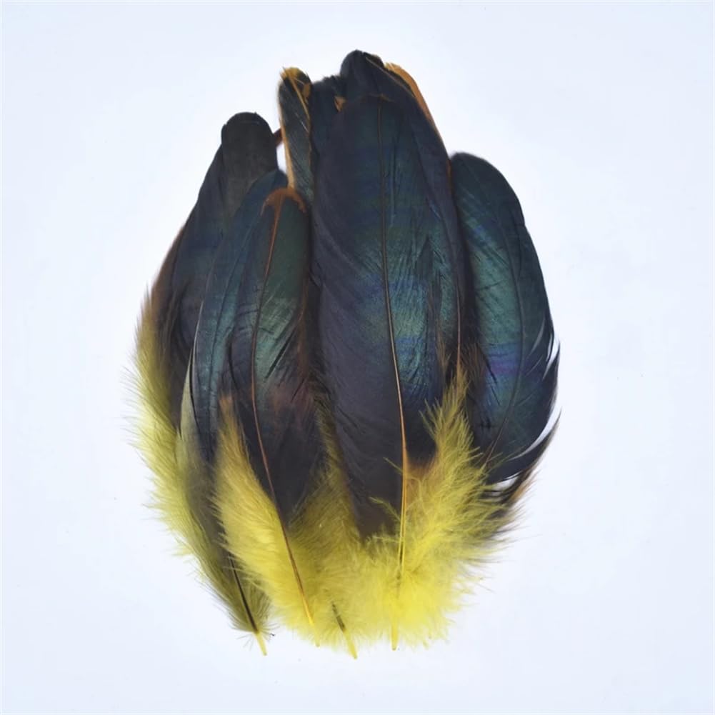 Natural Pheasant Feathers, Natural Pheasant Rooster Feathers, Craft, 50 Pcs Multicolor Fly Tying & Crafts(Yellow)