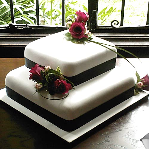 ANYUANKW Stampo Rettangolare Torta,Anello