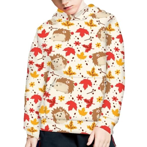 Pinupub Kids Hooded Sweatshirt Boys Girls Cute Holiday Winter Long Sleeve Casual Pullover Hoodies4