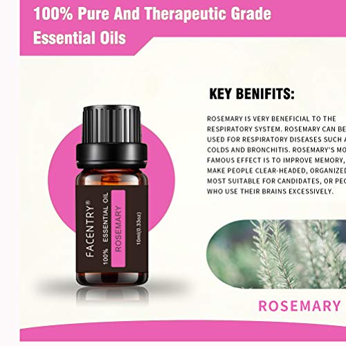 Lurrose 6 peças 10ml Óleo Essencial Orgânico Natural Feminino Perfume Terapêutico Óleo Essencial Ret