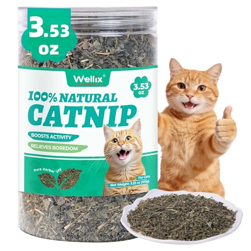 Wellix 3.53oz Fresh Catnip for Cats, Natural Dried Catnip Leaves, Flowers & Stems - Fresh Aroma, Used as Treats or Refillable Cat nip Toys, Non-addtictive, Safe for Indoor Kittens