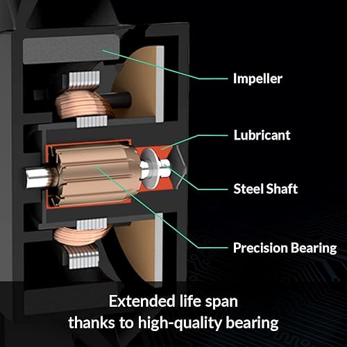 Miniatura 10 de P12.