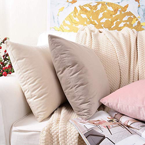 Image of Modern Homes (Pack of 2) Velvet Cushion Covers Plain Sofa Cushion Covers Pillow Covers for Living Room and Bedroom (16x16 inches, Cream)