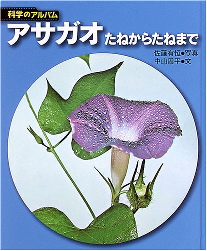 あさがおページ 51YX2T36HEL.jpg