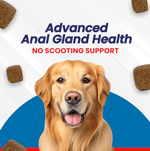 Image of Digestive Probiotic for Gut and Anal Gland Health for Dog Constipation Relief Soft Fiber Chews Developed to Support The Digestive System and Anal sac Health for Normal Bowel Movement, brown