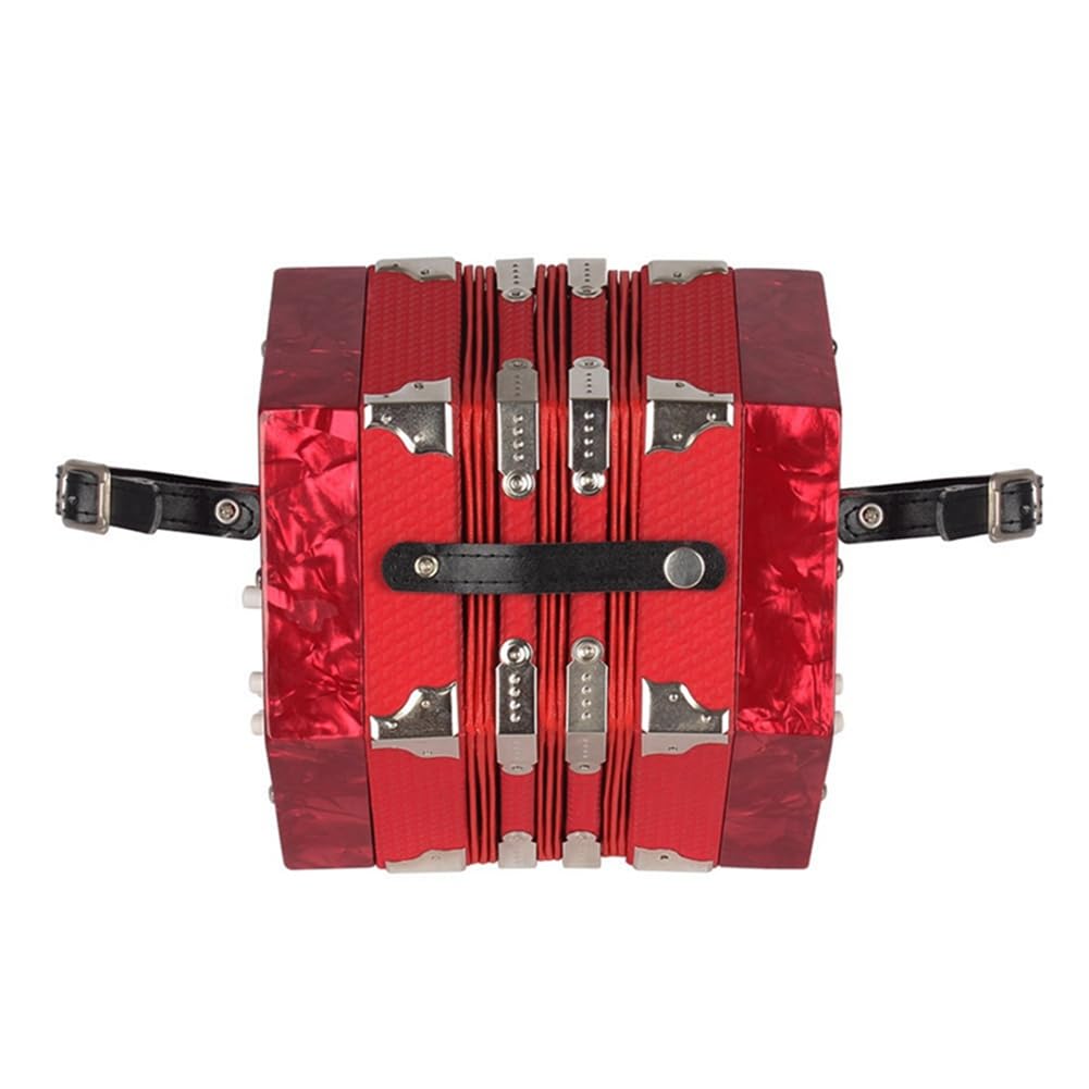 Accordéon hexagonal avec 20 touches et 40 tonnes, instrument professionnel pour la pratique de l'enseignement