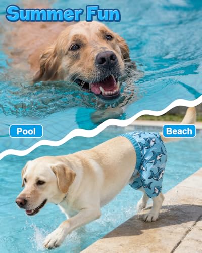 Image of CuteBone Dog Swim Trunks Swimsuit Durable & Comfortable - Quick-Dry, Adjustable Waistband Shorts, UV Protection Bikini- Perfect for Beach, Pool & Outdoor Fun, Dinos DST14L