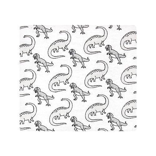 Image of Hudson Baby Unisex Baby Cotton Flannel Receiving Blankets, Neutral Dino World, One Size