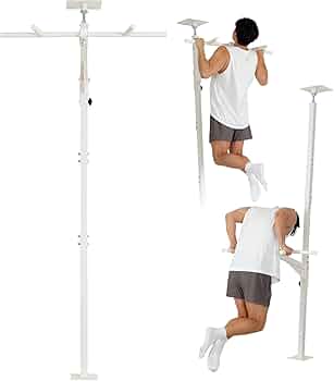 Amazon | TEDDY WORKS KENSUI kaku model2 懸垂マシン