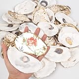 QICQDRAM 20PCS Flat Oyster Shells 4"-5" Large Oyster Shells for Crafts Natural Oyster Shells Bulk, for Home Vase Filler, Xmas Ornaments, DIY Arts and Crafts Sea Shells